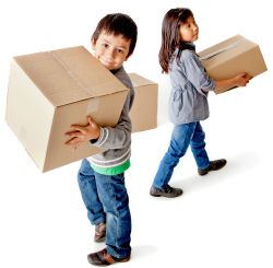 Removal Services N6